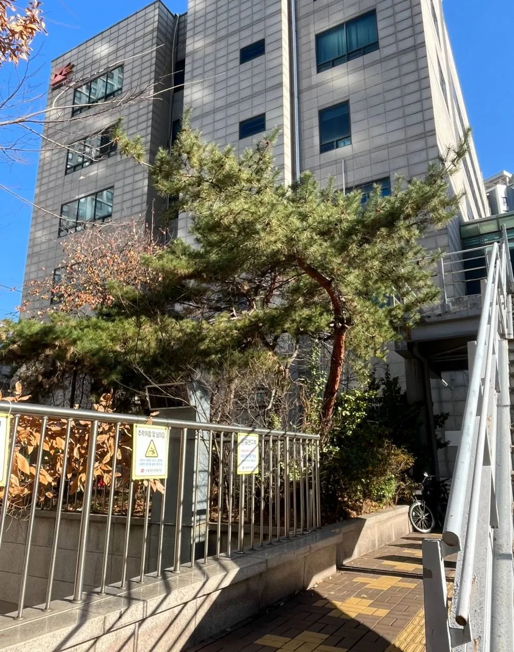 이미지 6