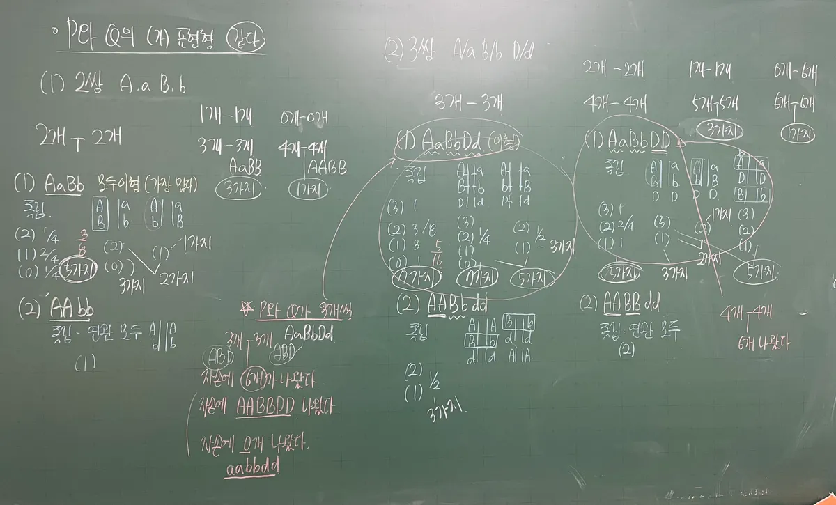 이미지 3