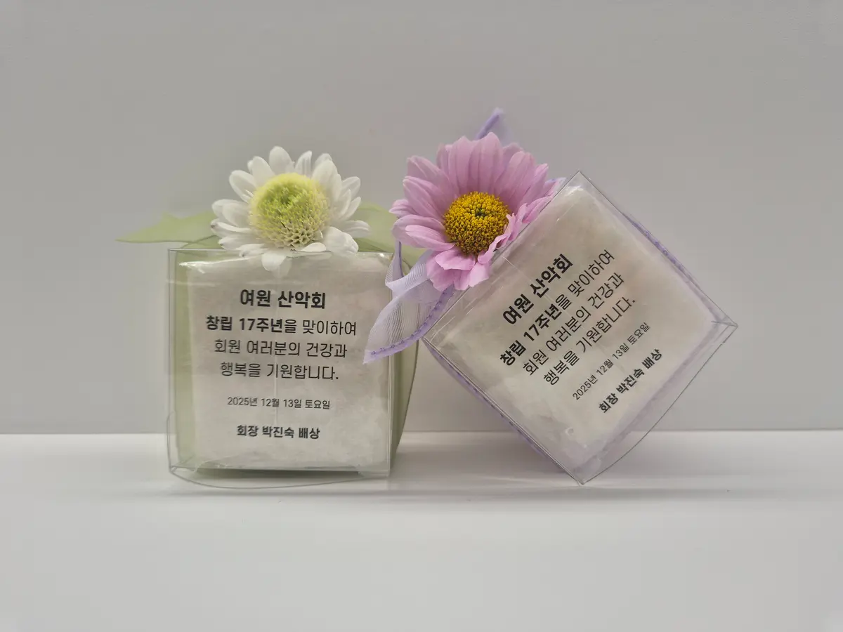 이미지 8