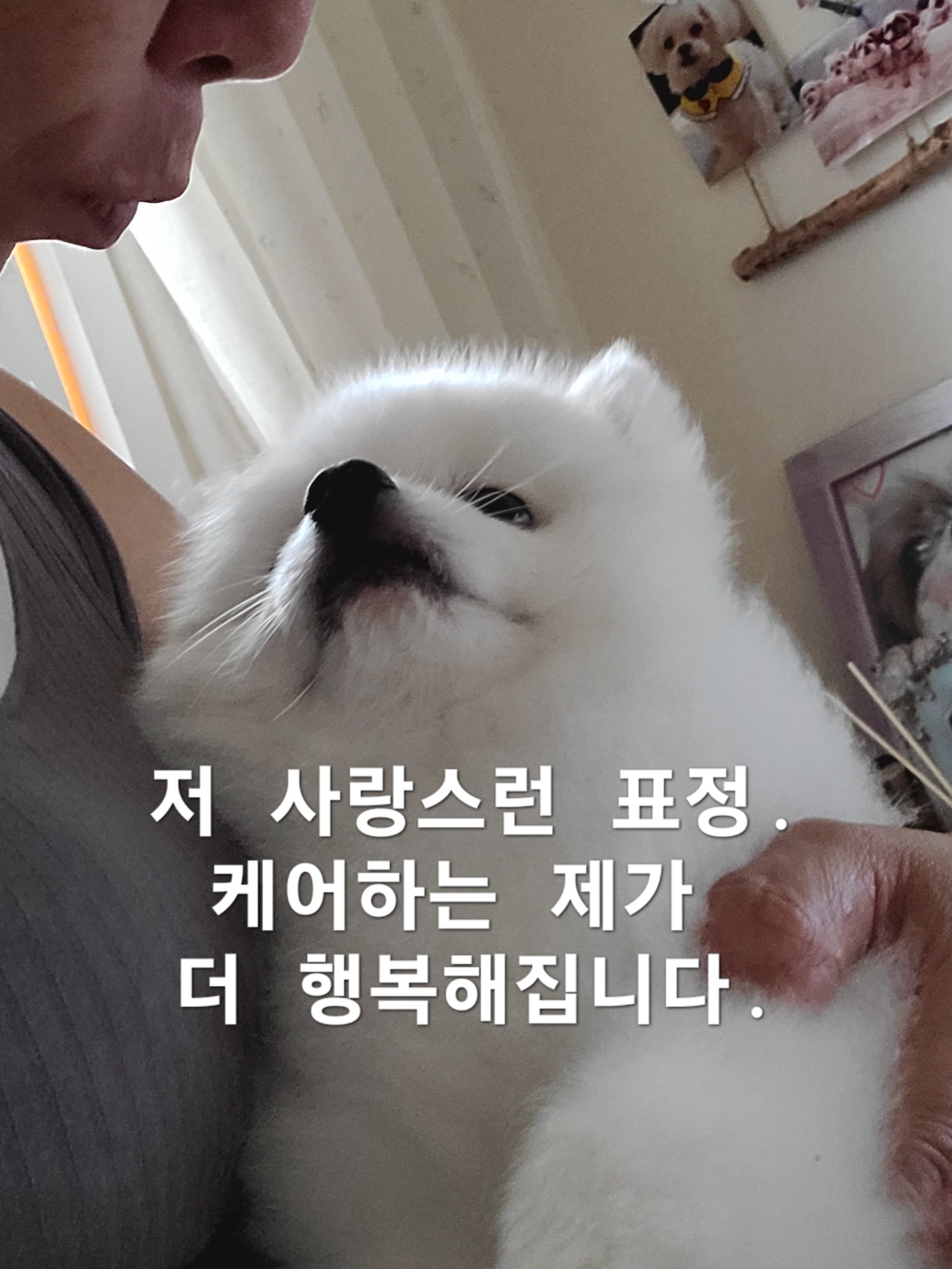 이미지 3