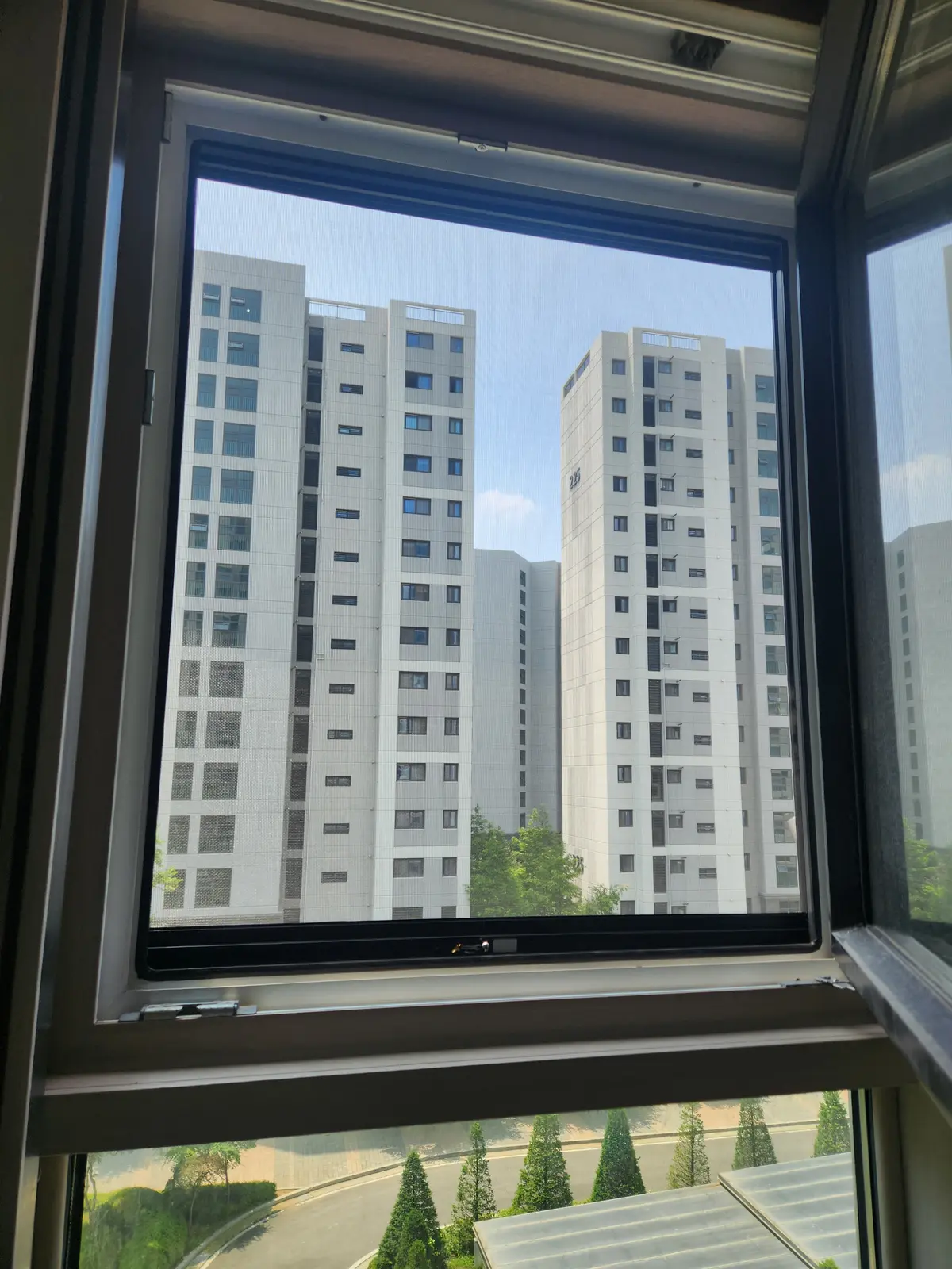 이미지 13