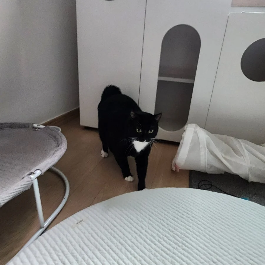 이미지 9