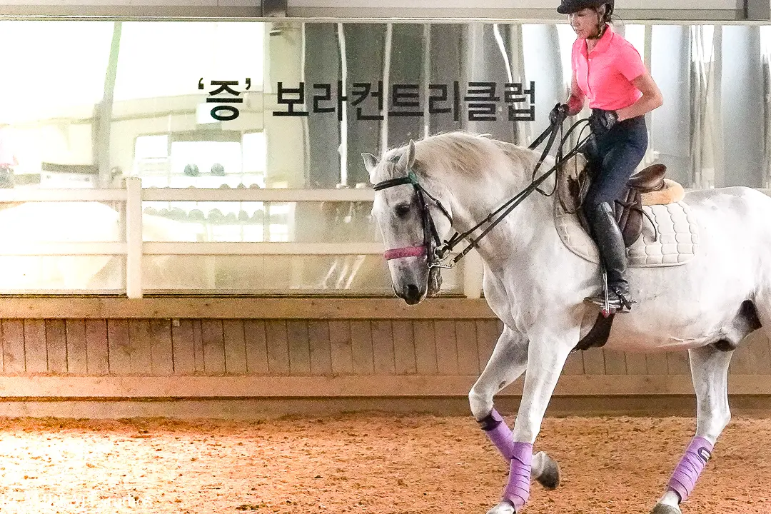 이미지 7