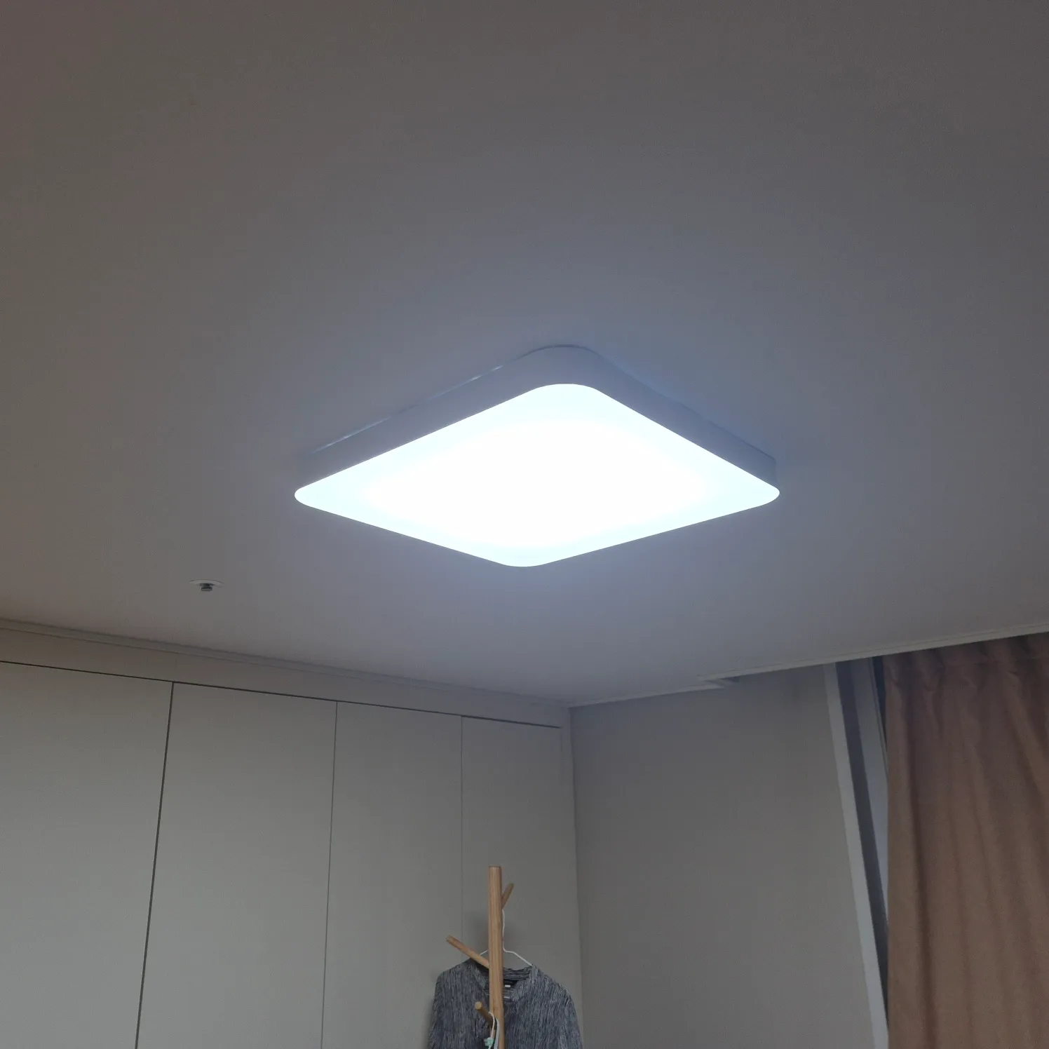 이미지 4