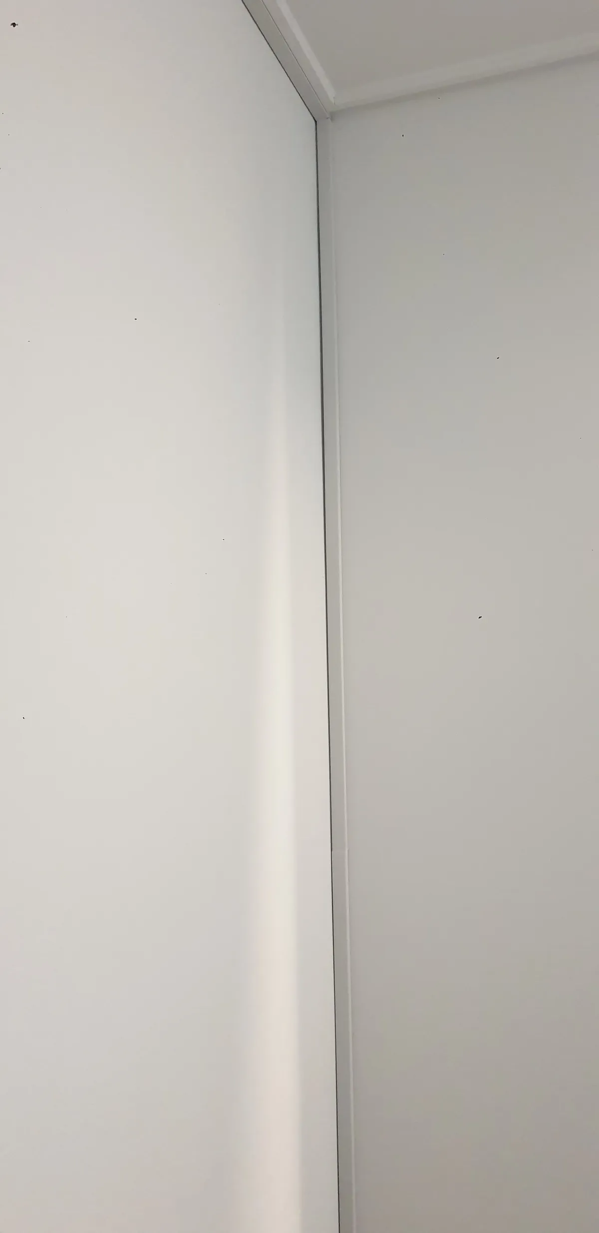 이미지 4