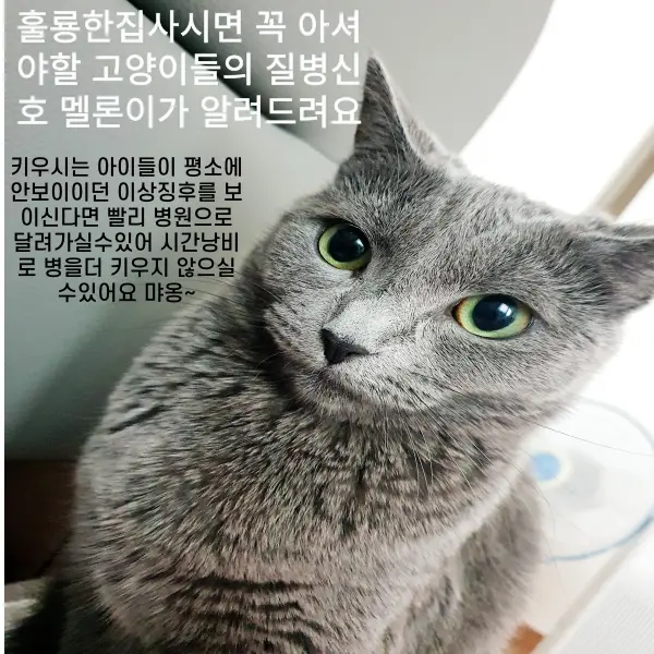 이미지 5