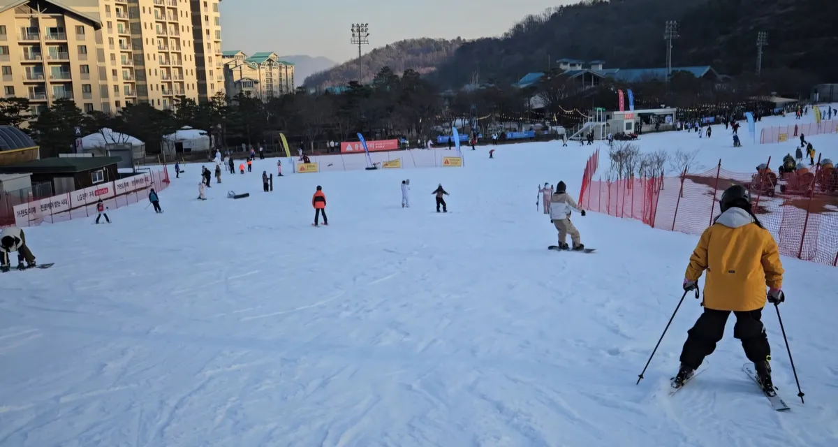 이미지 10