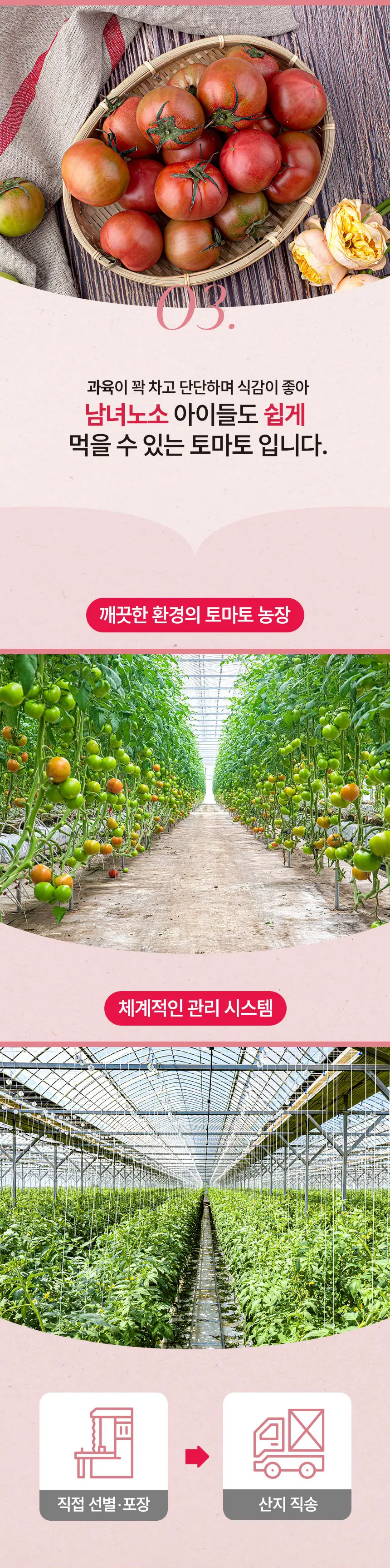 이미지 5