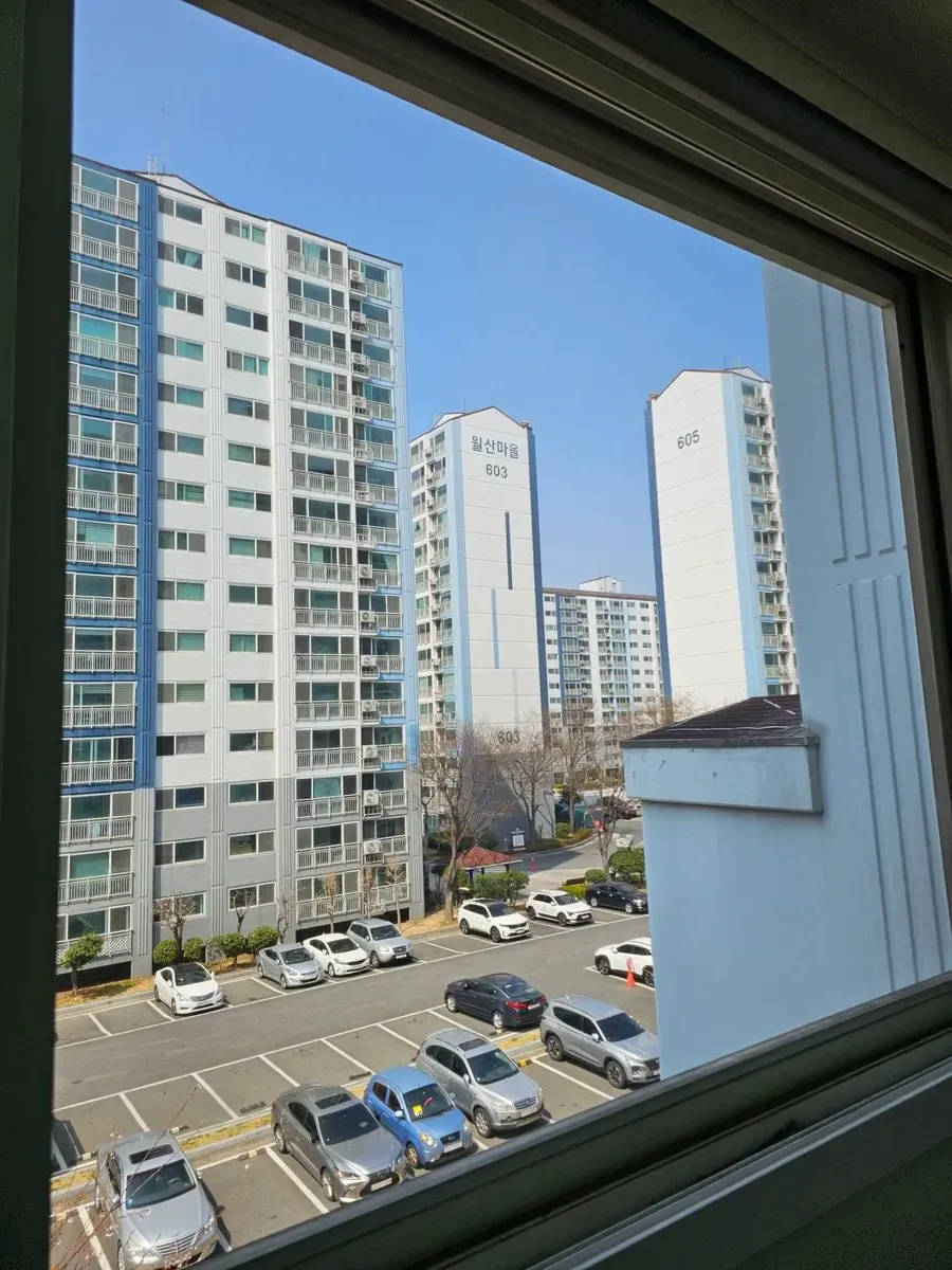 이미지 10