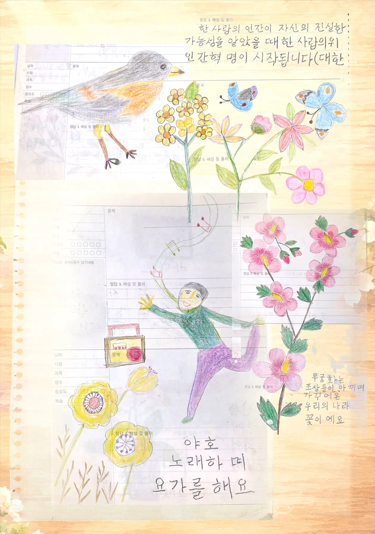 이미지 20
