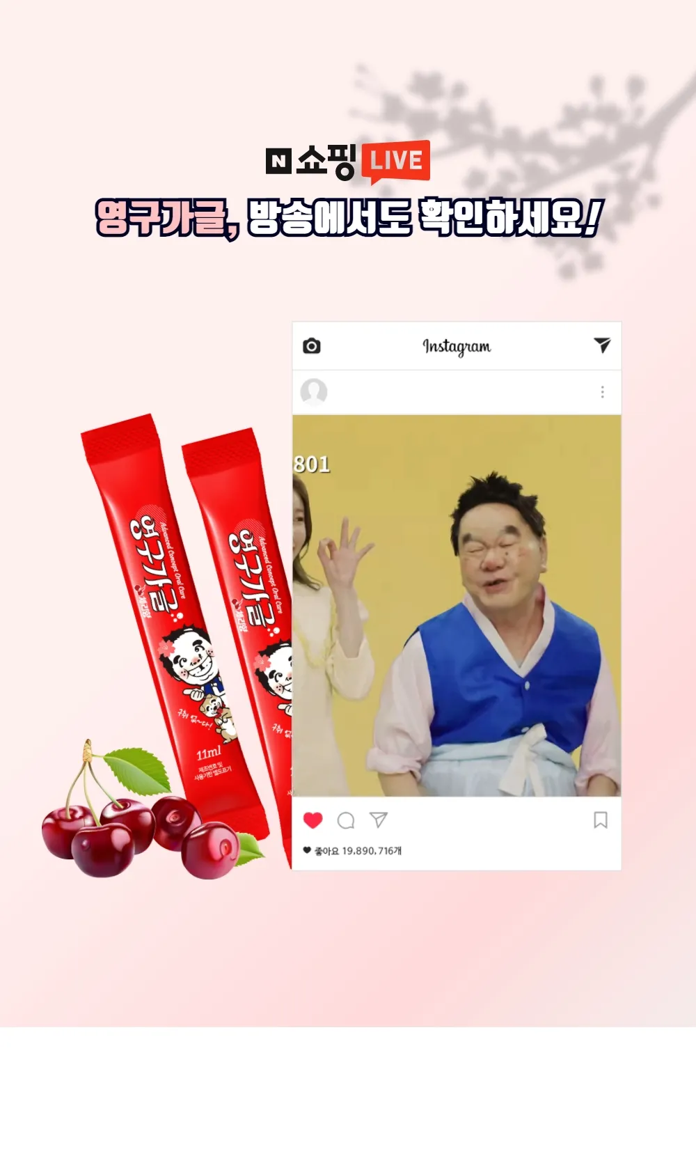 이미지 13