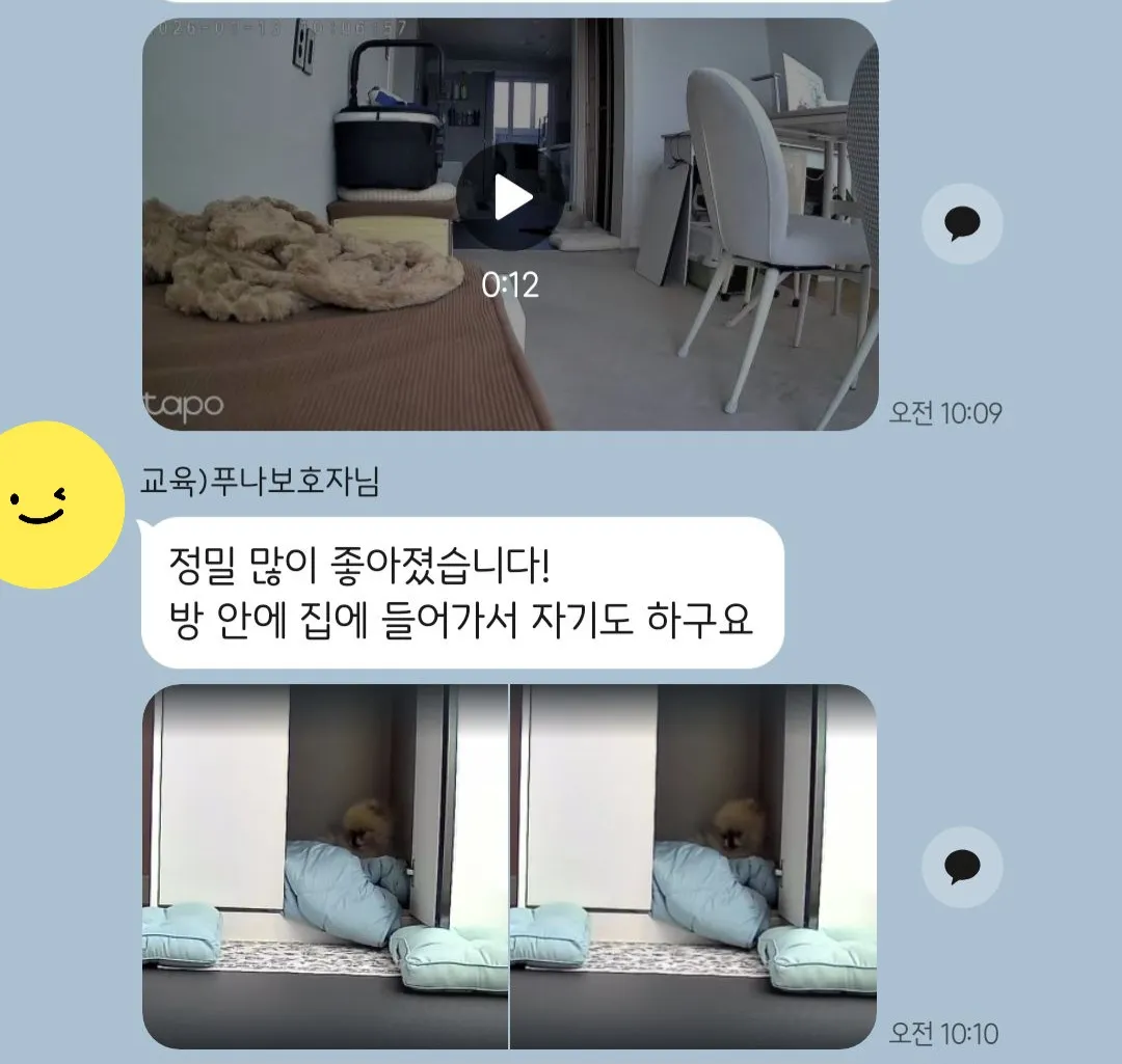 이미지 6