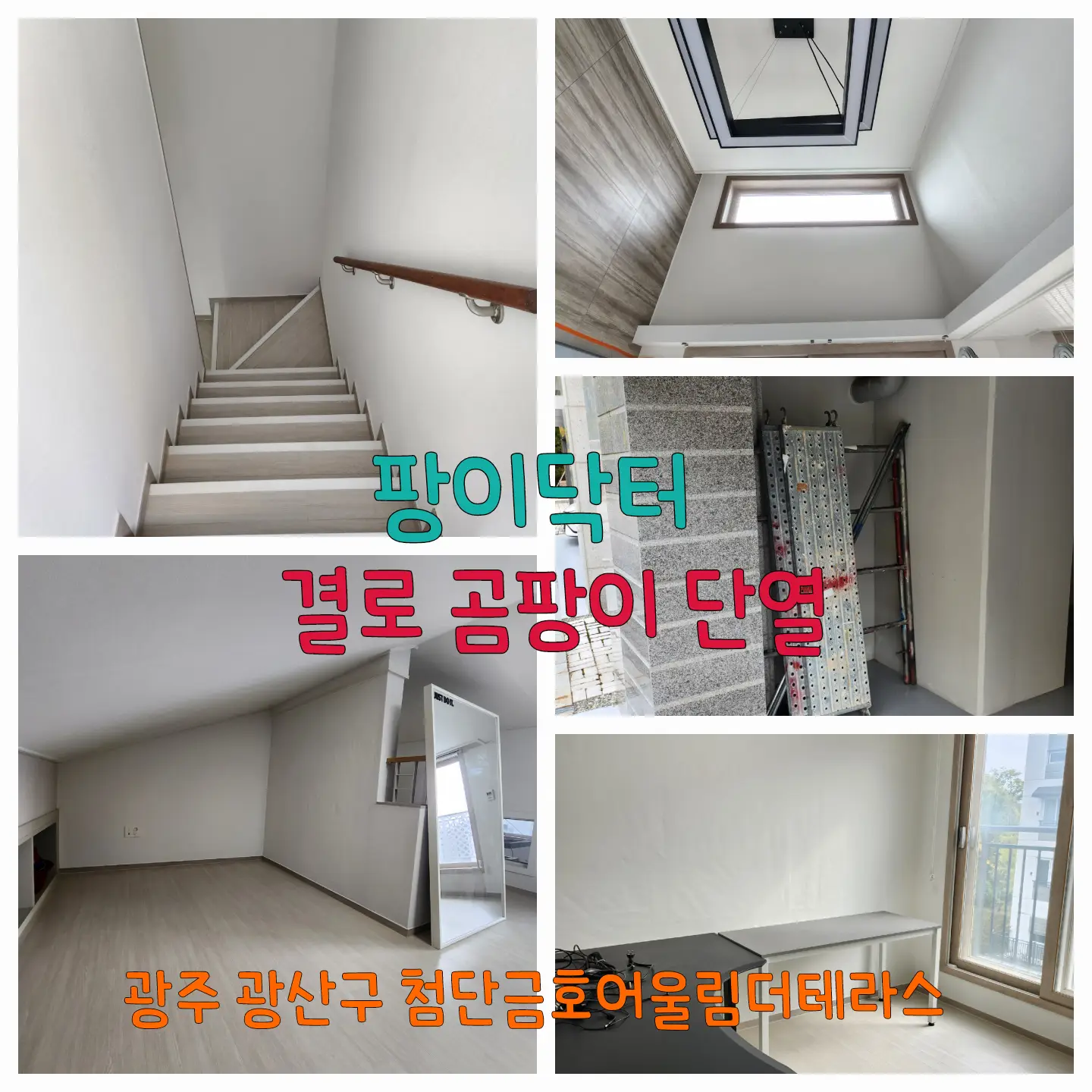 이미지 16