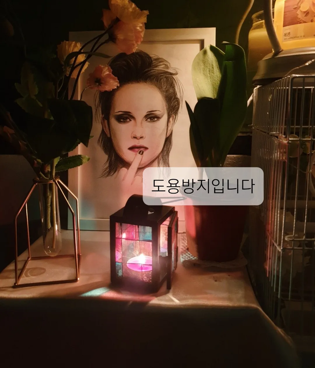 이미지 5