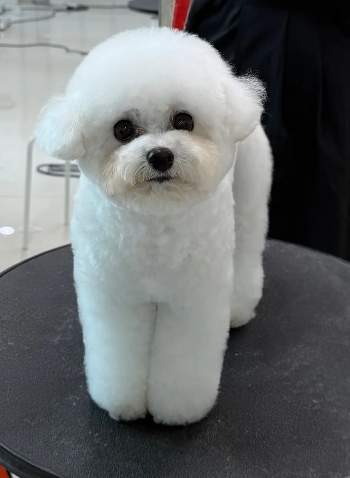이미지 4