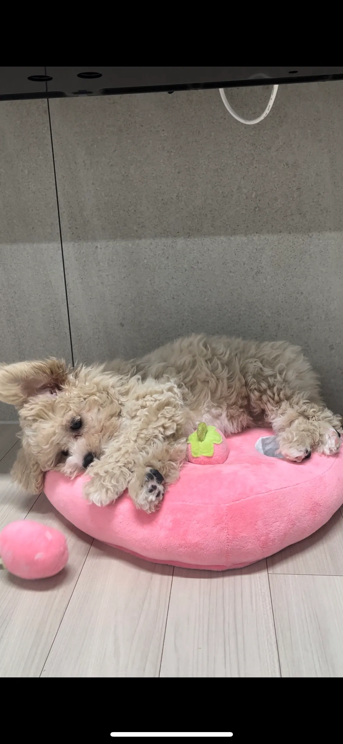 이미지 7