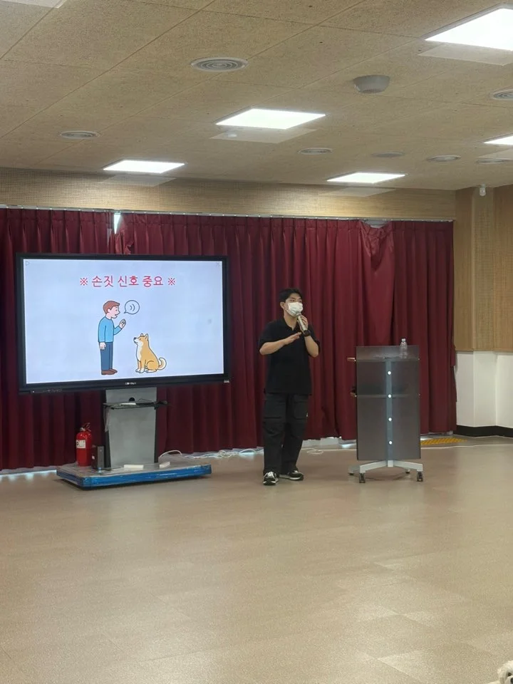 이미지 4