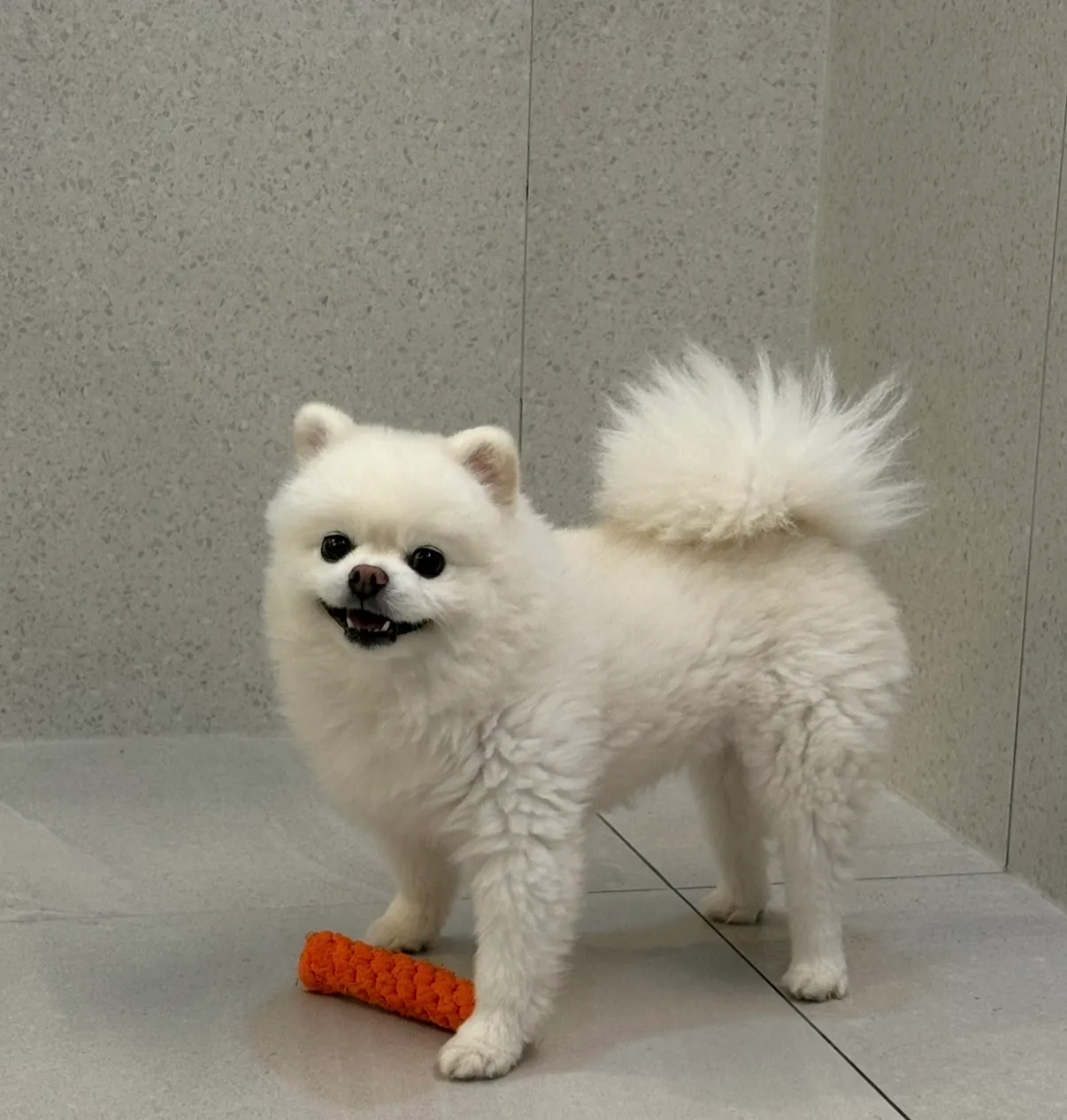 이미지 10