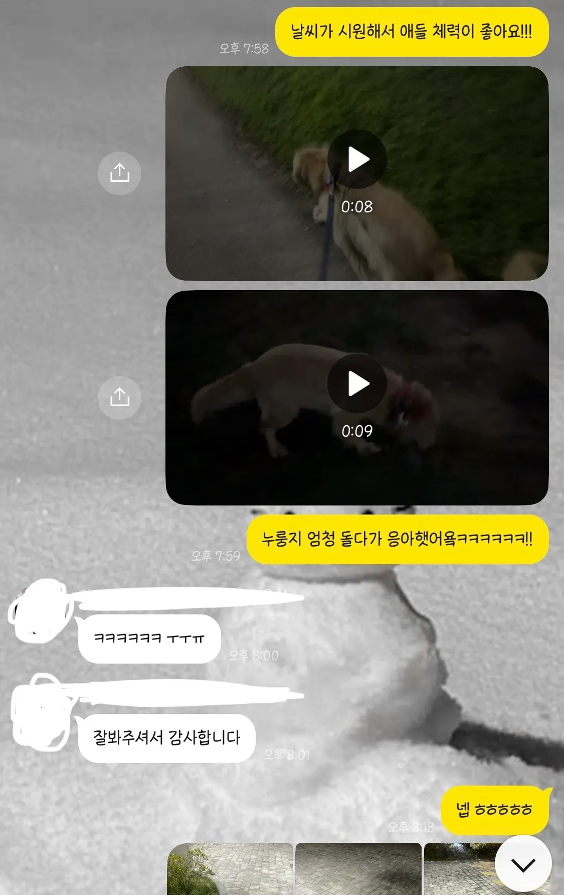 이미지 3