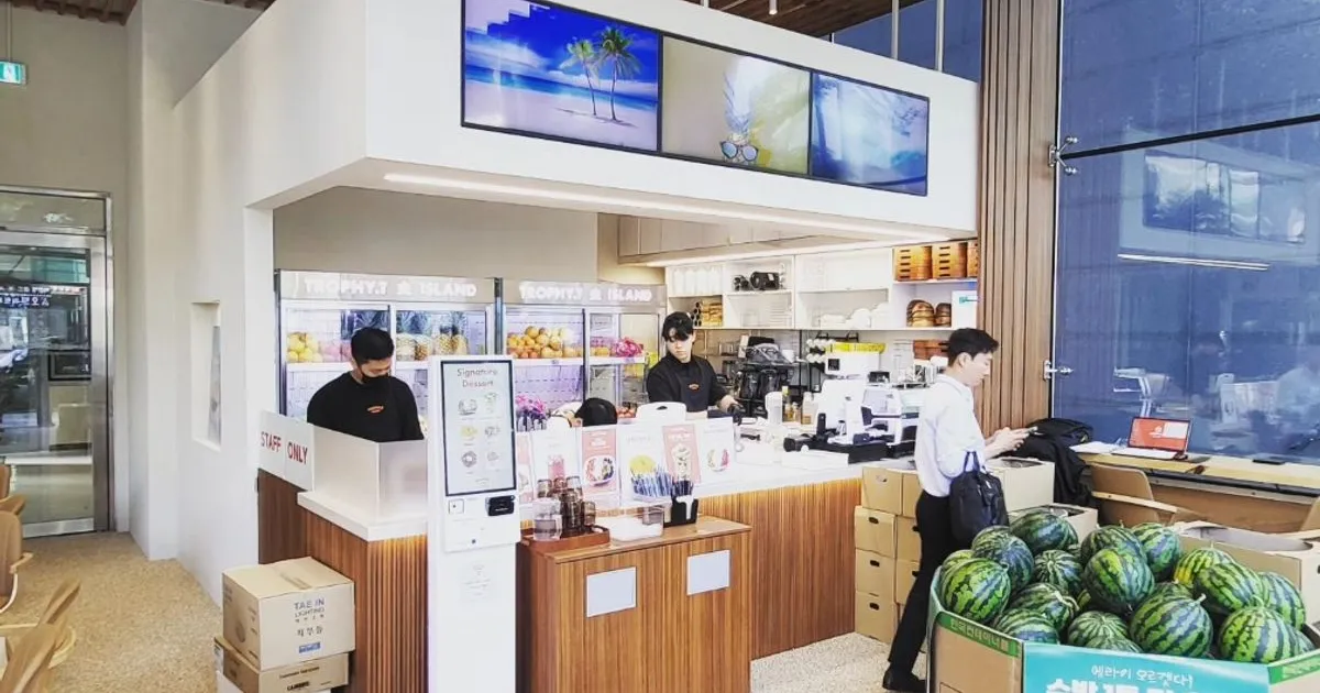 트로피티 아일랜드 언주 본점 / 강호생 - 숨고, 숨은고수 트로피티 아일랜드 언주 본점