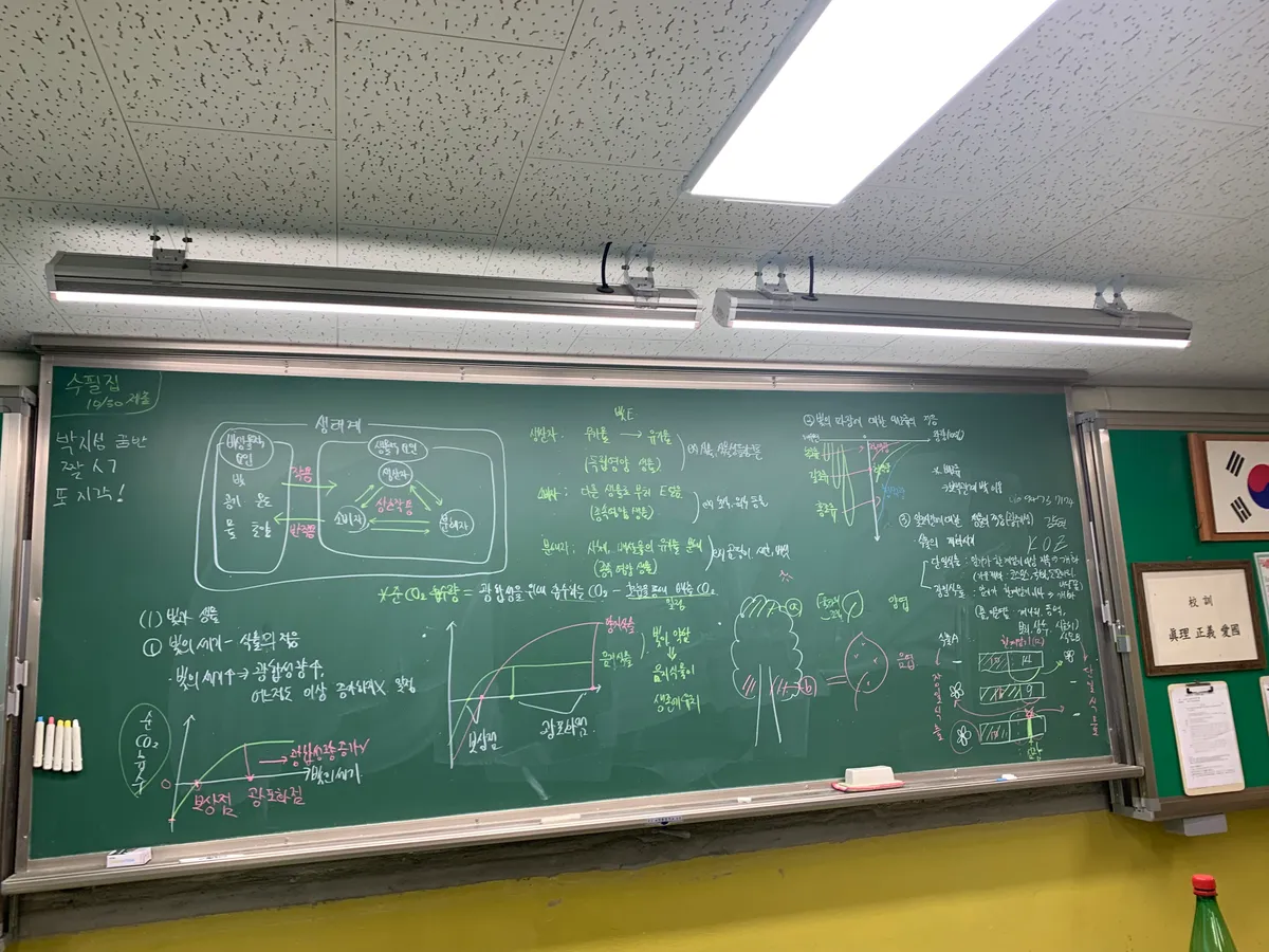 이미지 5