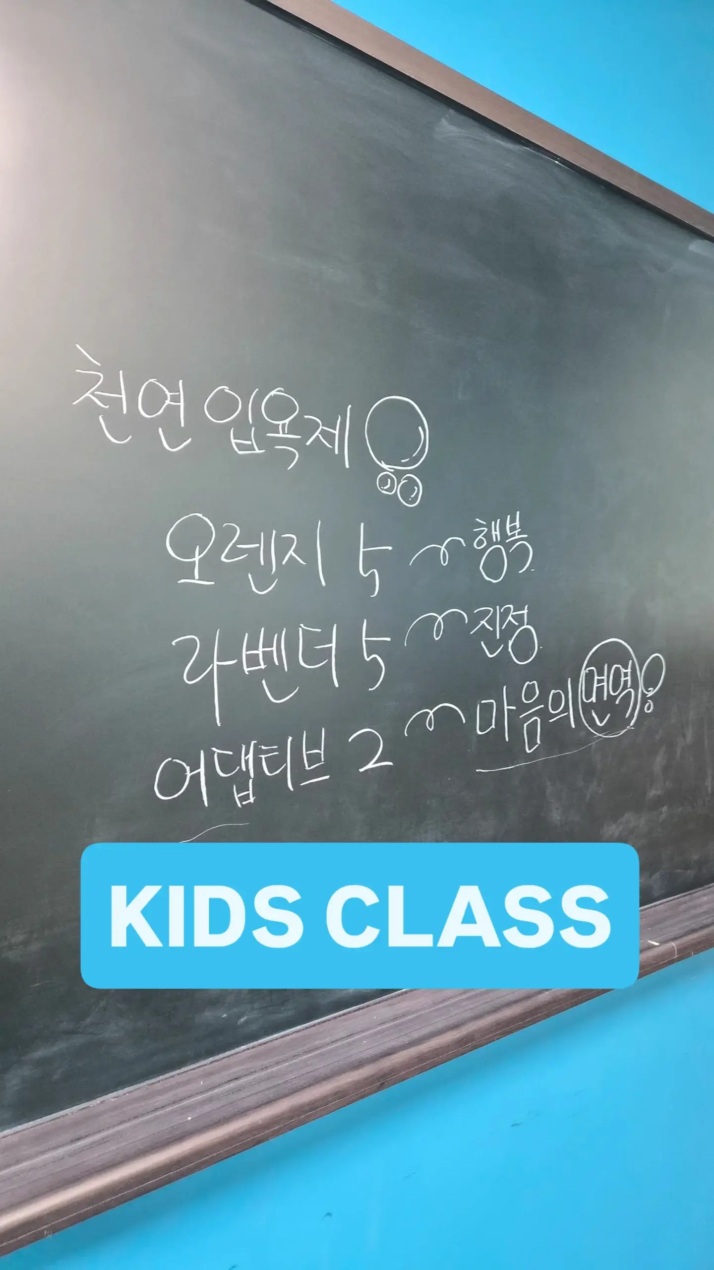 이미지 6