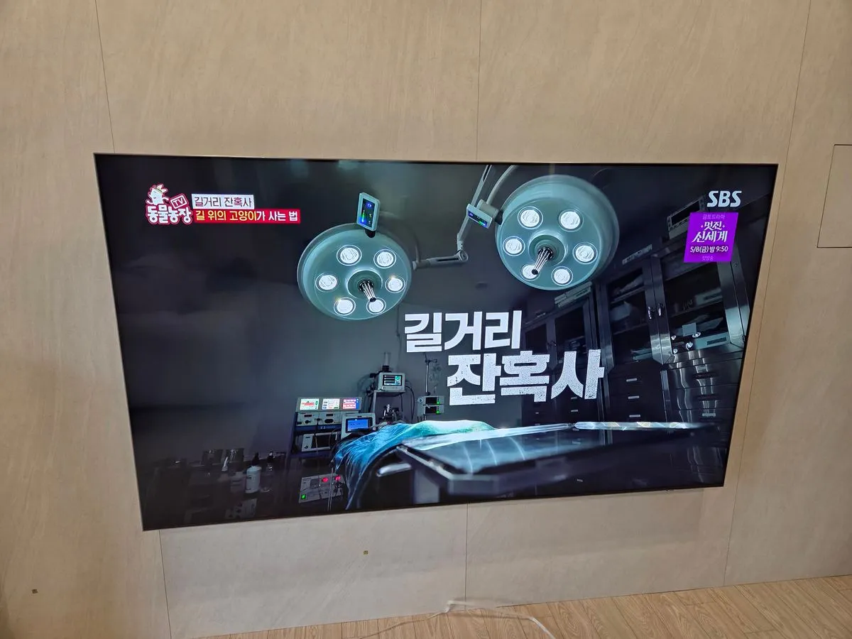 이미지 4