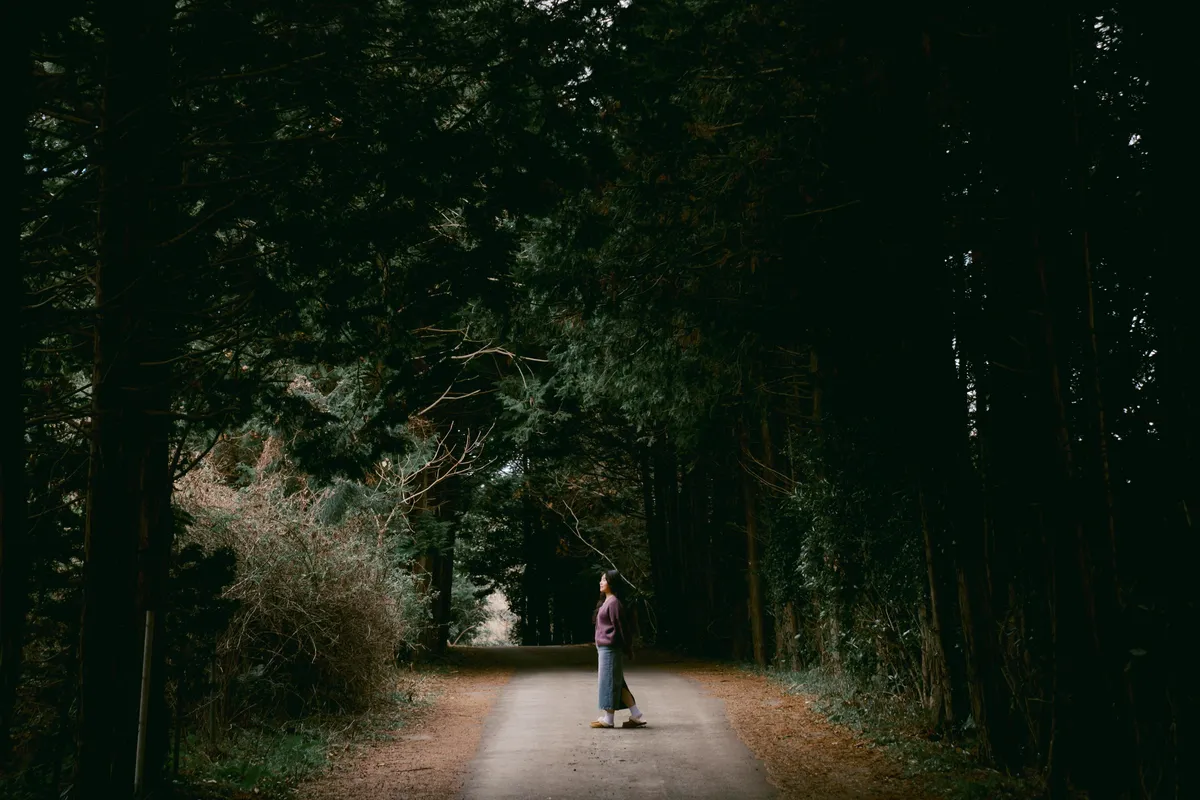 이미지 7