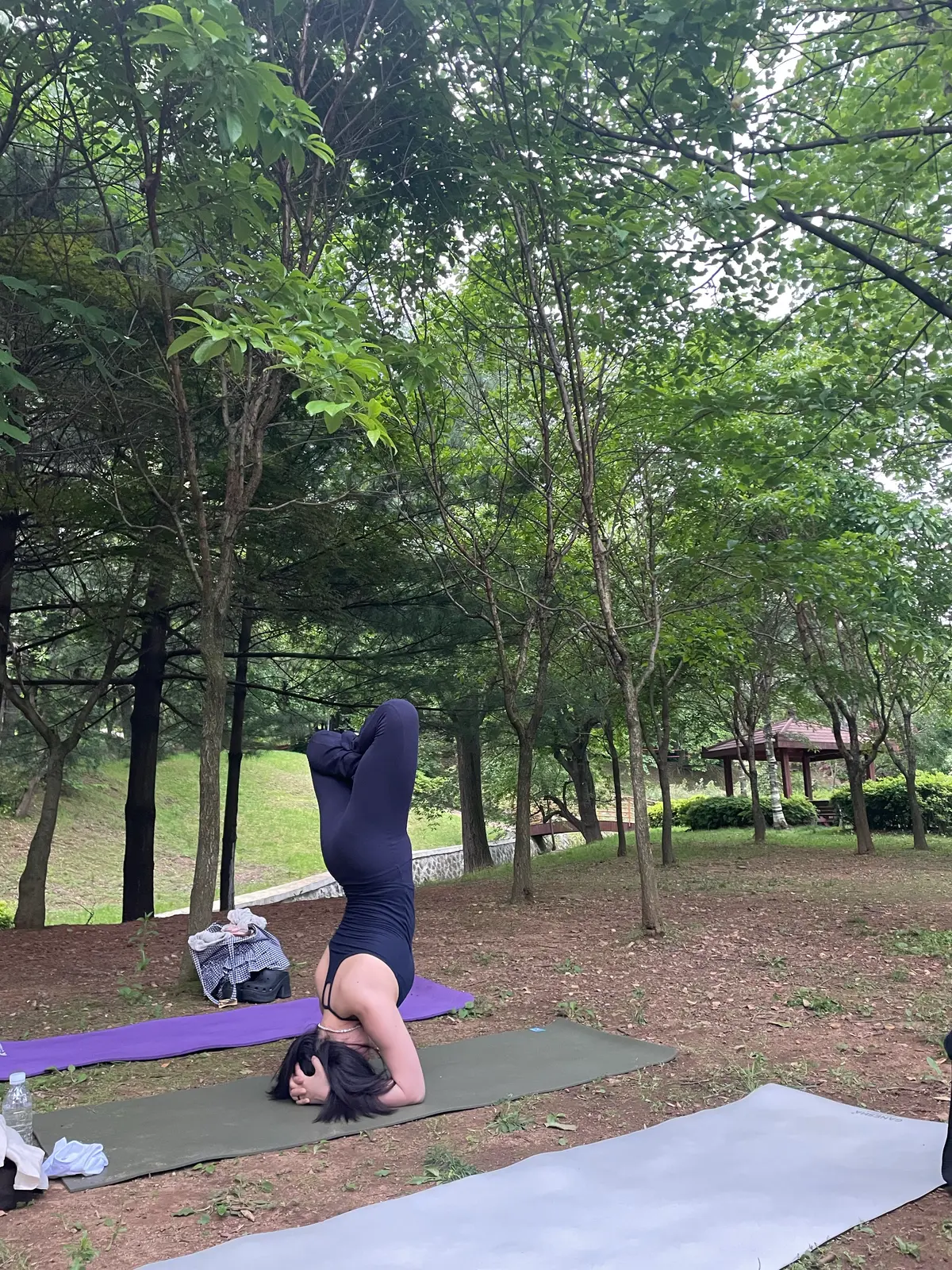 이미지 7