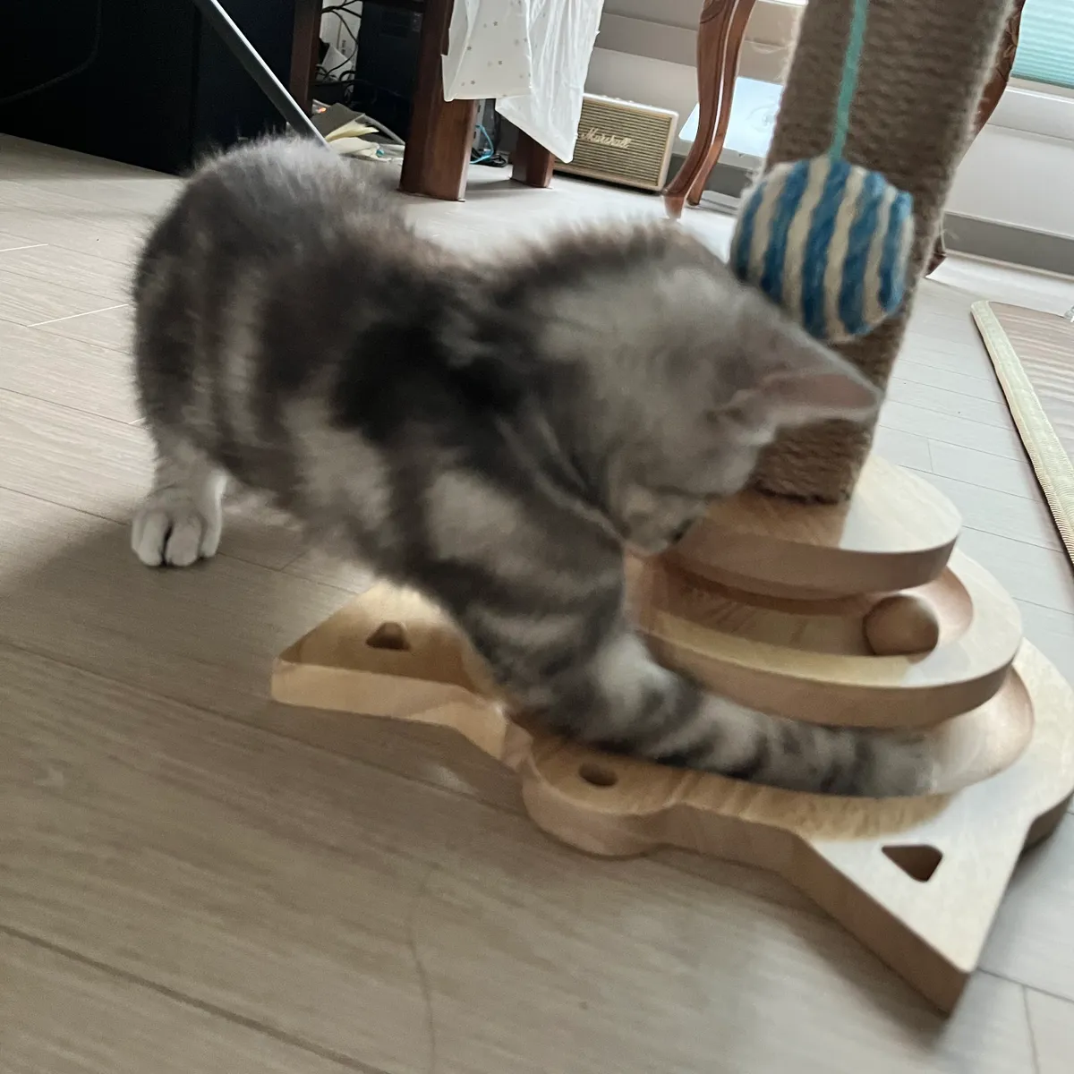 이미지 6