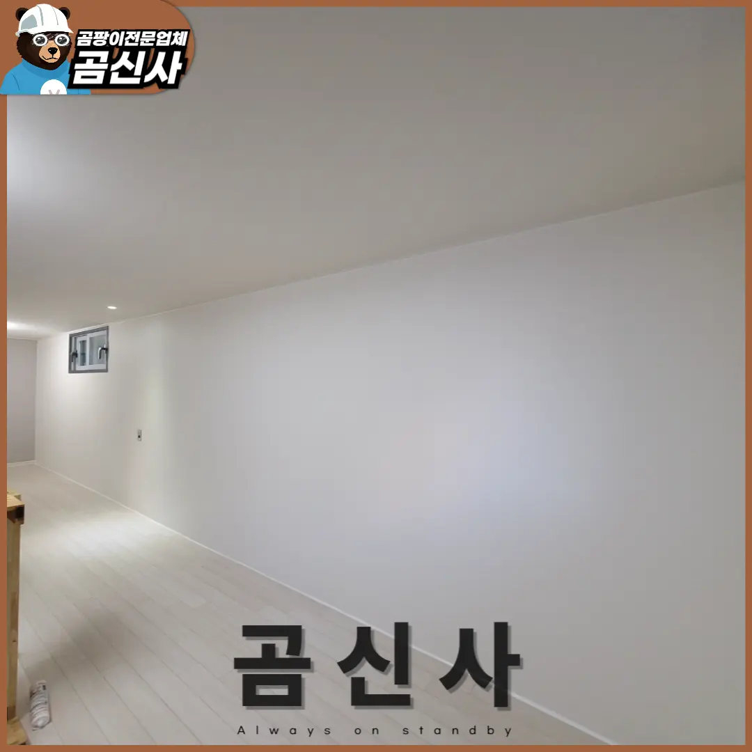 이미지 12