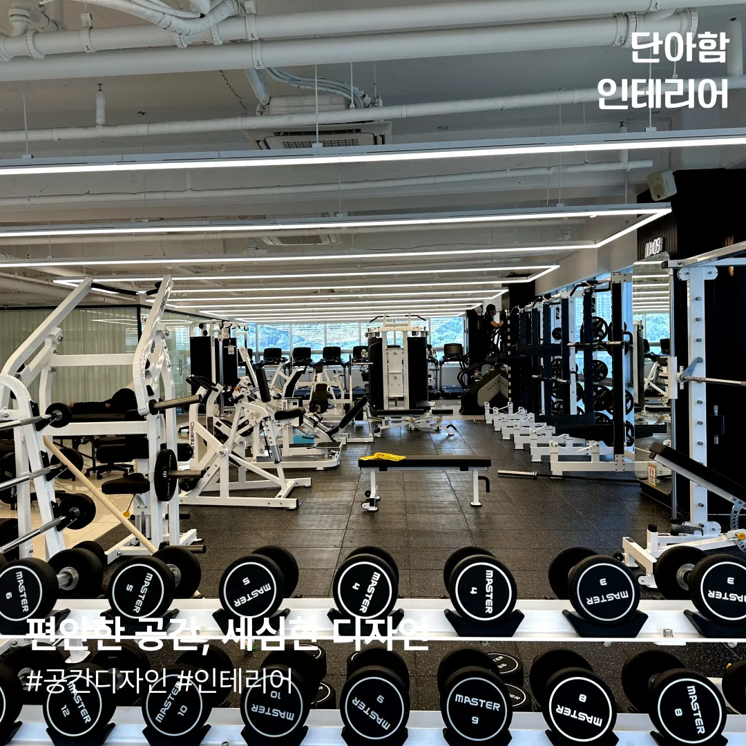 이미지 8