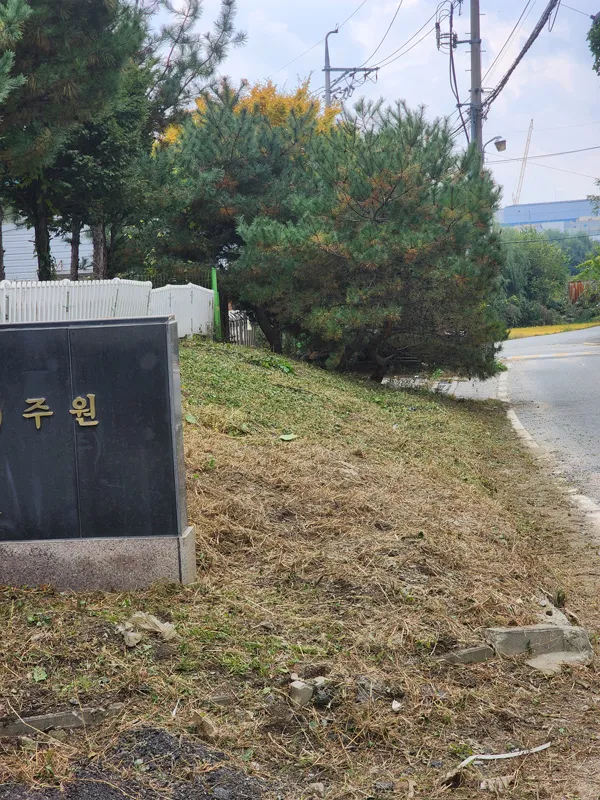 이미지 8