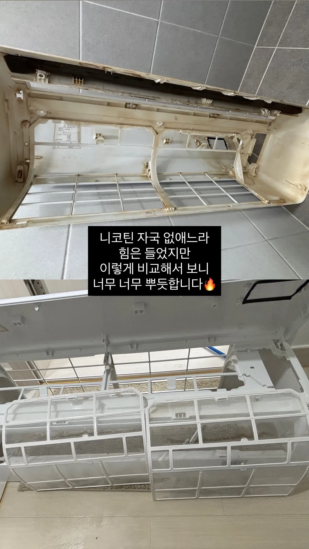 이미지 8