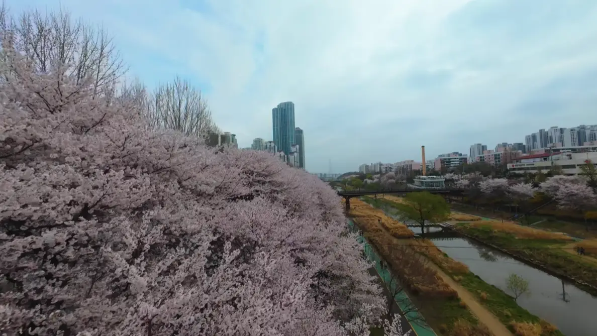 이미지 8
