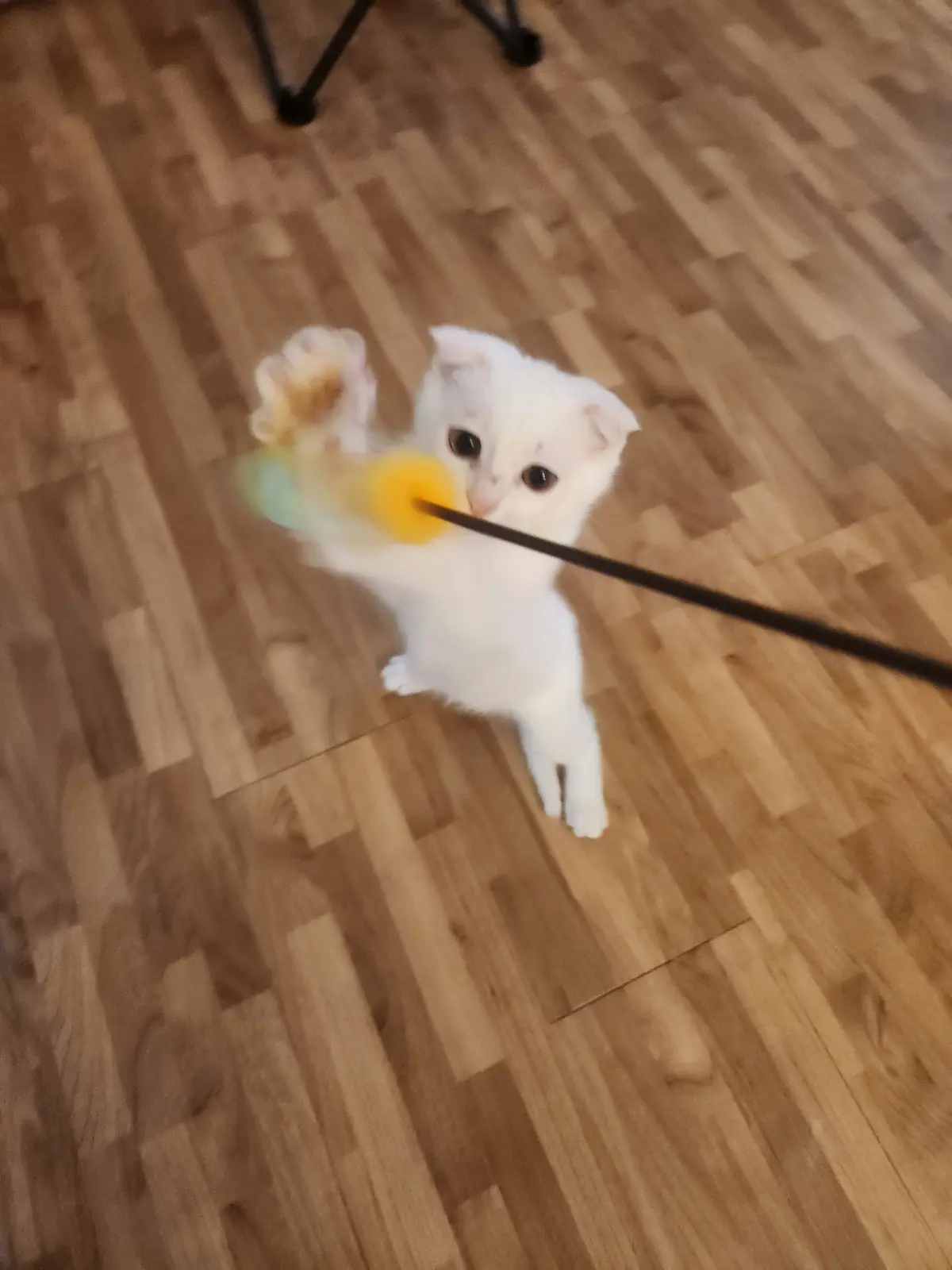 이미지 8