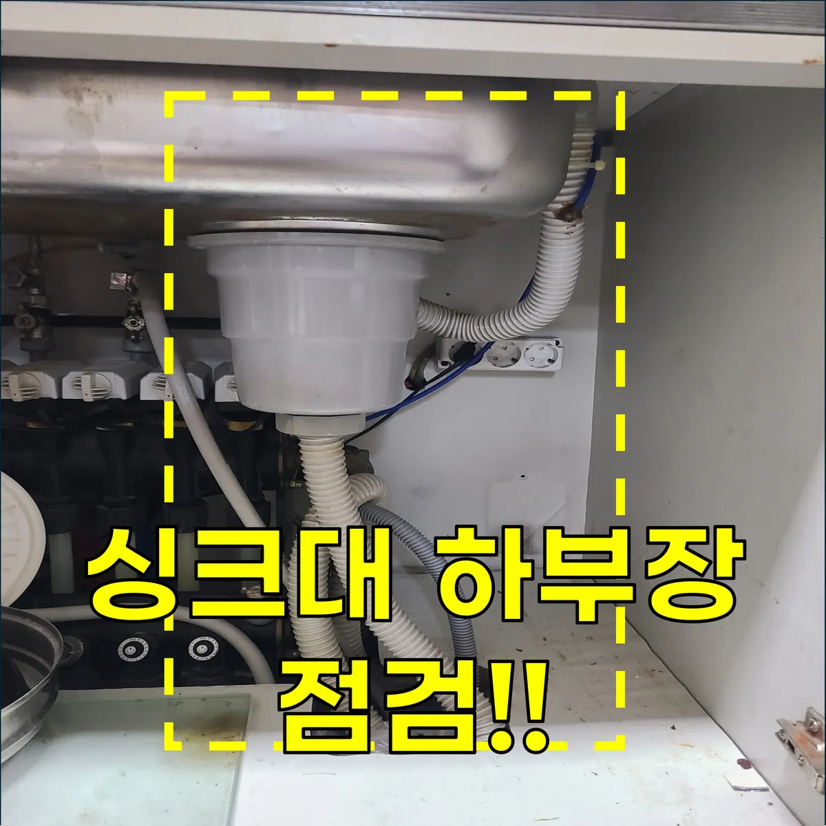 이미지 4
