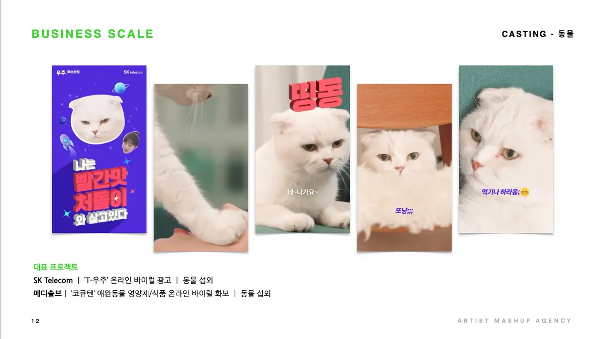 인력 섭외 포트폴리오 / 에이엠에이(AMA:아티스트메시업에이전시) - 숨고, 숨은고수 인력 섭외 포트폴리오