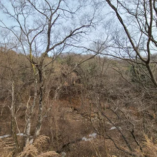 법인 재무제표 반영 목적 감정평가