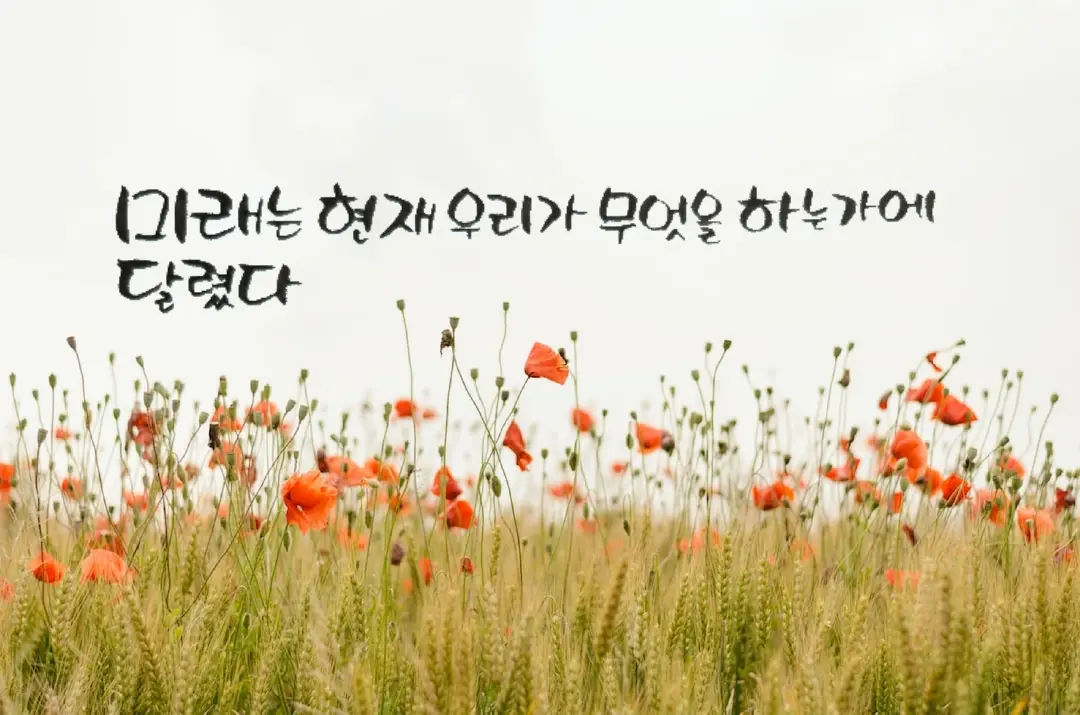 포트폴리오 이미지