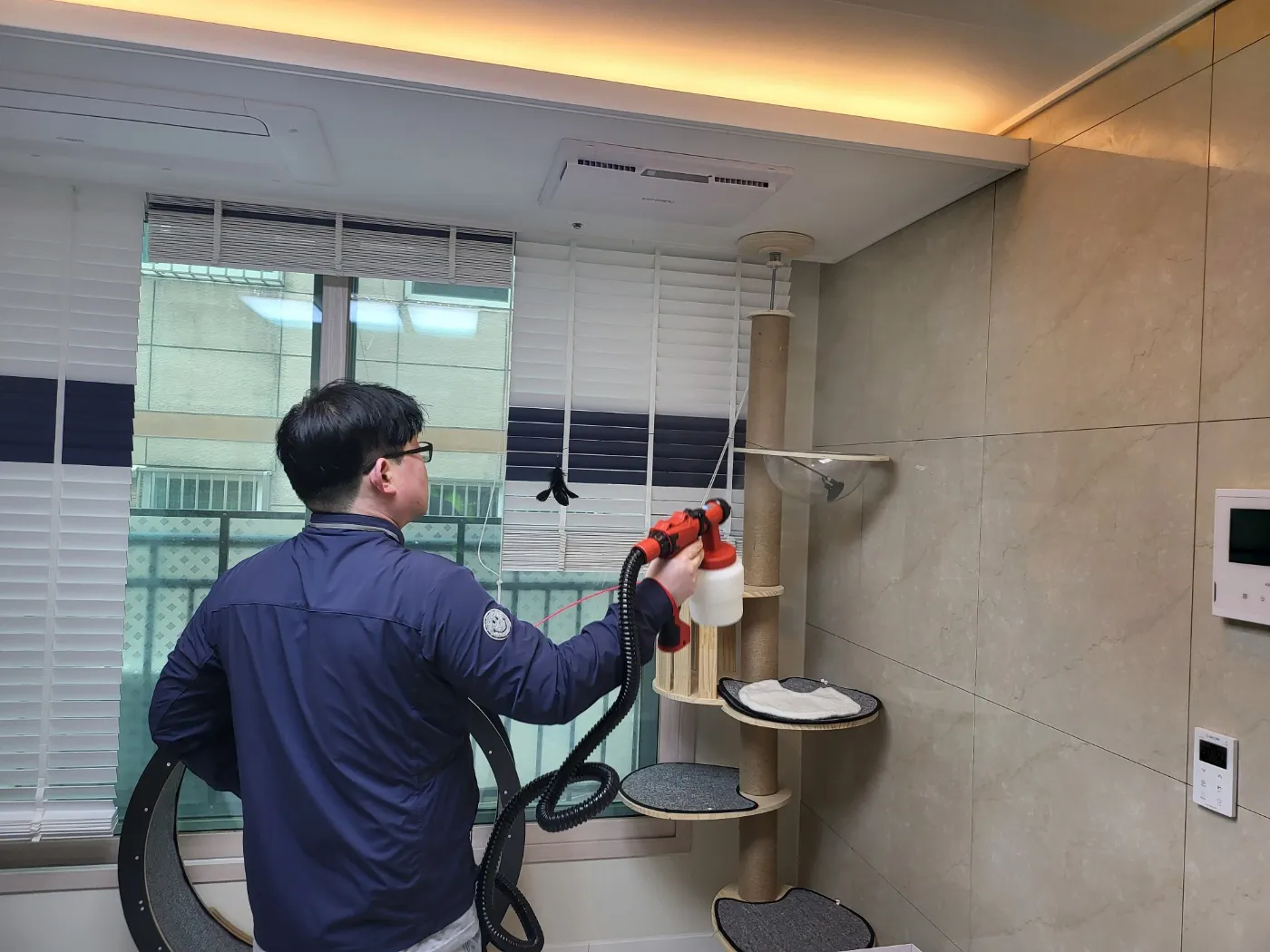 이미지 5