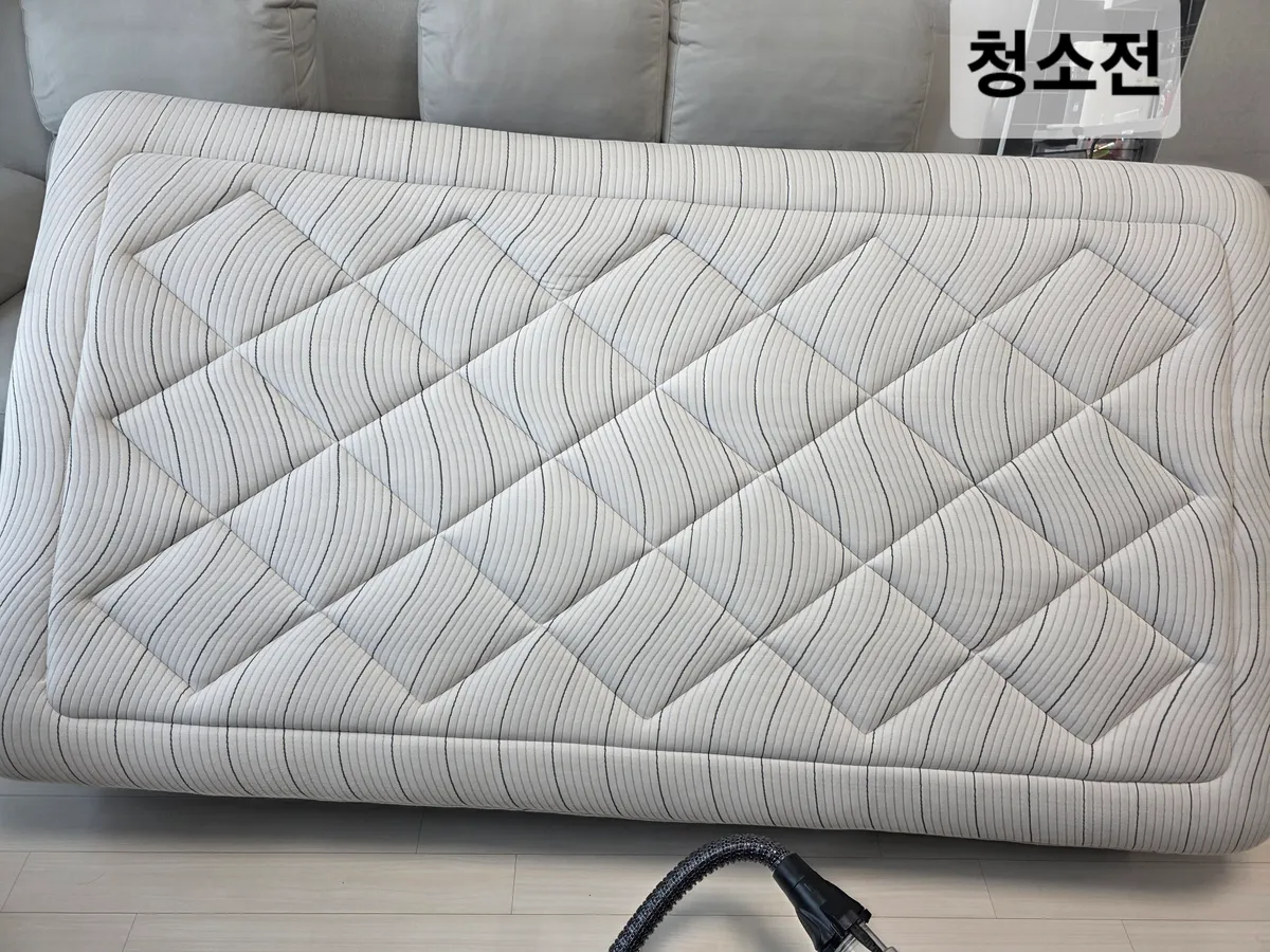 이미지 20