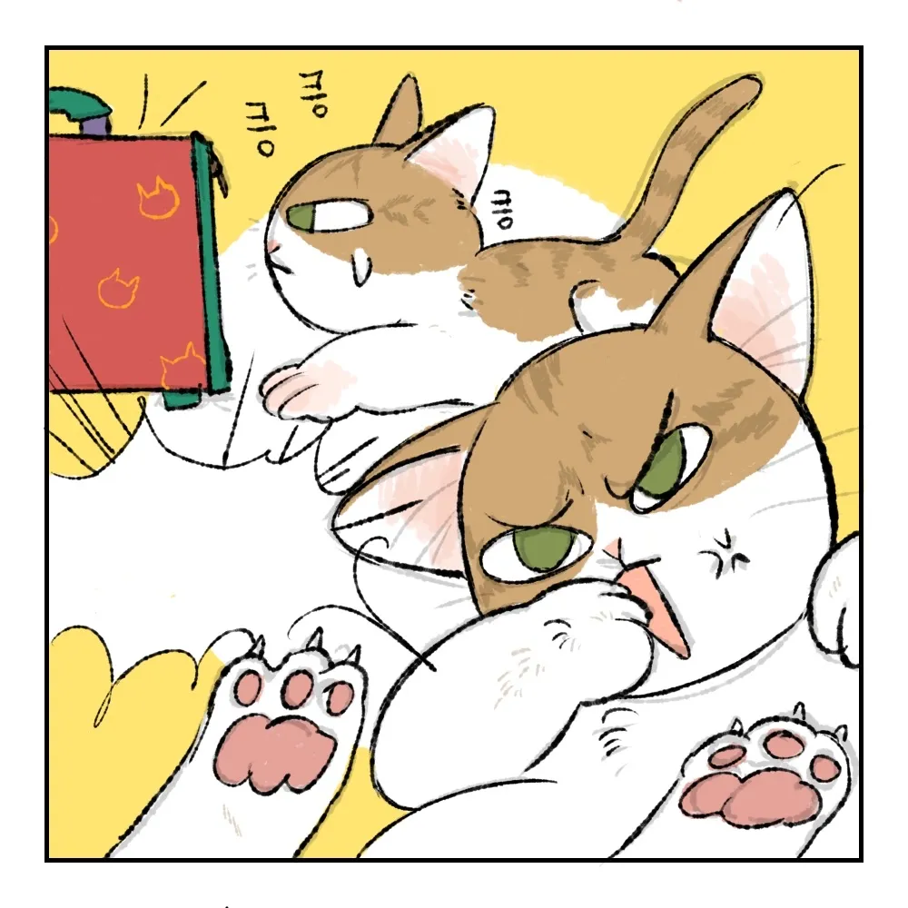 이미지 5