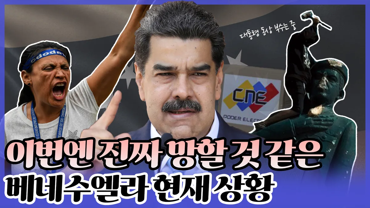 이미지 5