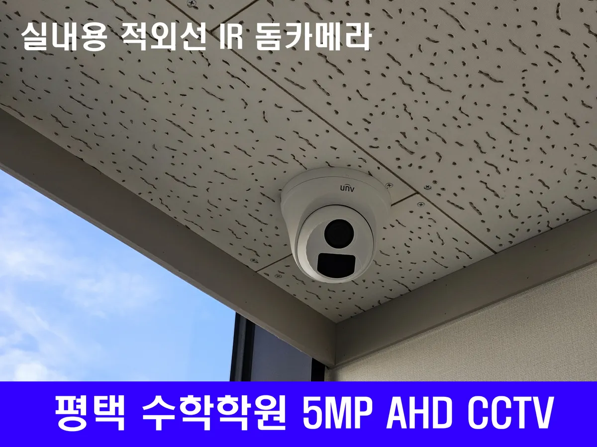 이미지 3
