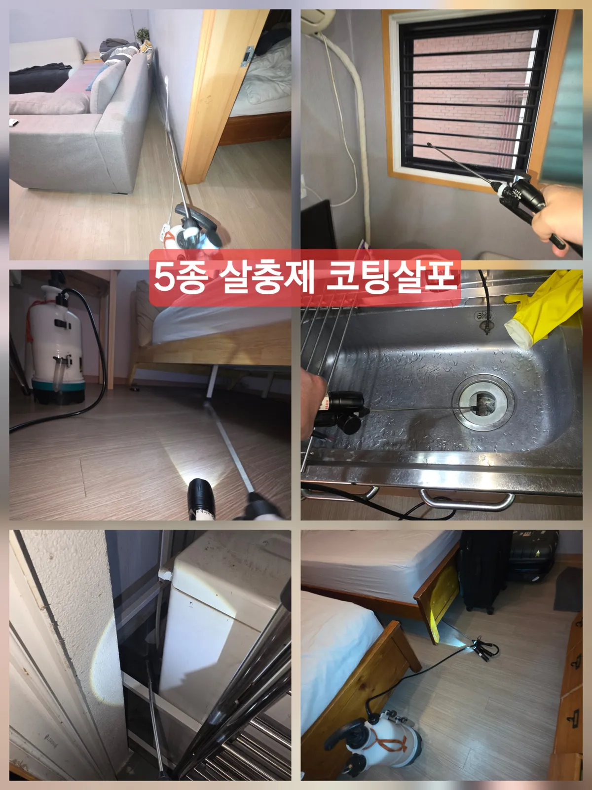 이미지 3