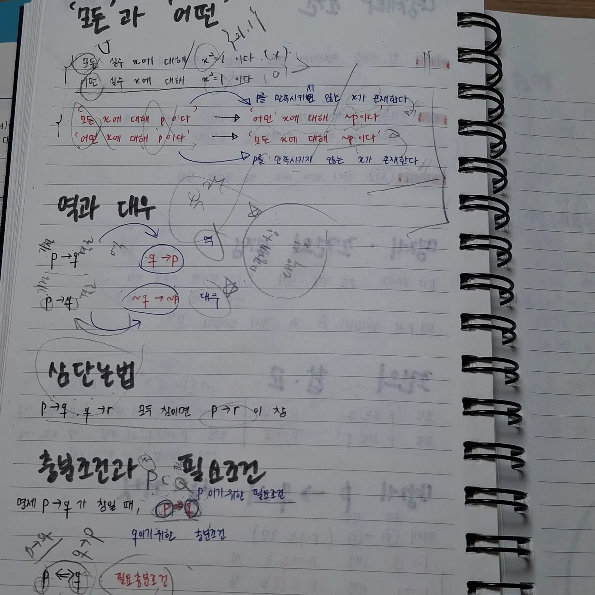 이미지 6