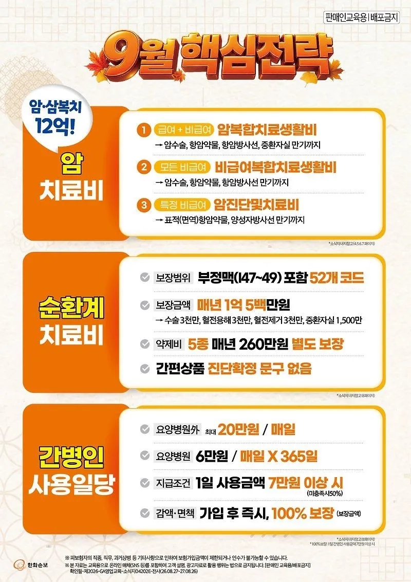 이미지 6