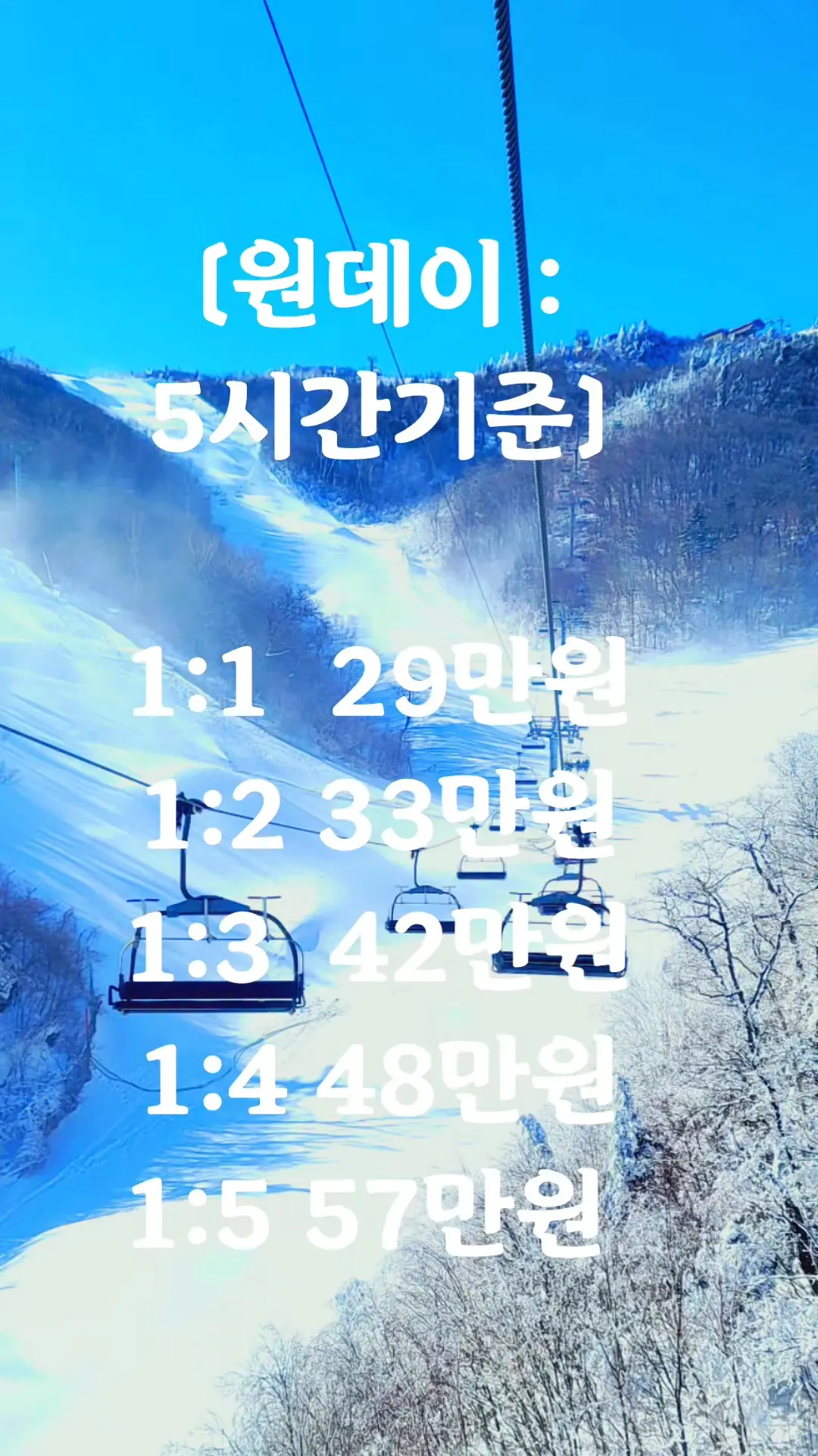 이미지 12