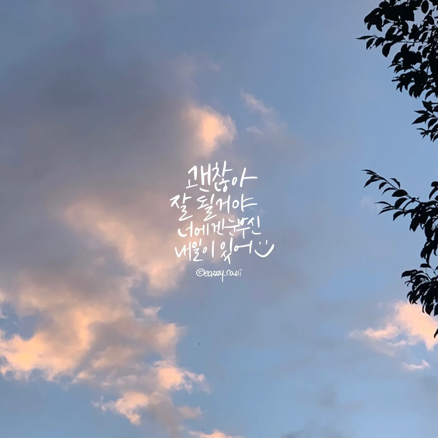 포트폴리오 이미지